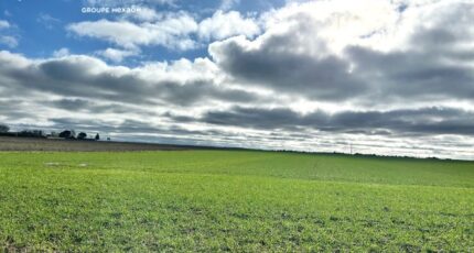 Angliers Maison neuve - 2427571-9644annonce320260212e6Ih9.jpeg Maisons France Confort