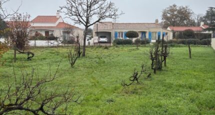 Sainte-Pazanne Maison neuve - 2389550-11110annonce320260112CqueV.jpeg Maisons France Confort