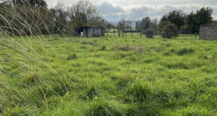 Rouans Maison neuve - 2422781-11110annonce120260209uOz8v.jpeg Maisons France Confort