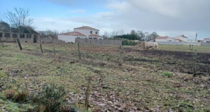 Saint-Urbain Maison neuve - 2407749-11728annonce320260205N9d7A.jpeg Maisons France Confort