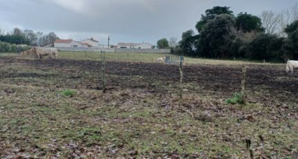 Saint-Urbain Maison neuve - 2407753-11728annonce120260205NA1at.jpeg Maisons France Confort