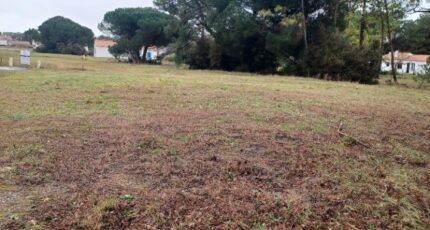 Notre-Dame-de-Monts Maison neuve - 2408529-11728annonce320260205lfwiR.jpeg Maisons France Confort