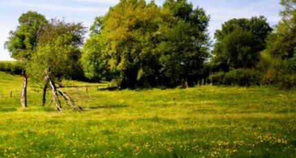 Notre-Dame-de-Monts Maison neuve - 2408537-11728annonce1202601279G2Pk.jpeg Maisons France Confort