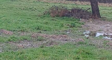 Beauvoir-sur-Mer Maison neuve - 2420558-11728annonce420260206WtqnH.jpeg Maisons France Confort