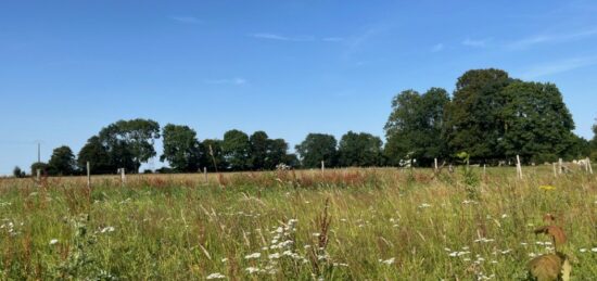 Terrain à bâtir à , Somme