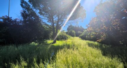 Vaugneray Terrain à bâtir - 2385453-11092annonce220260108nIQfa.jpeg Maisons France Confort