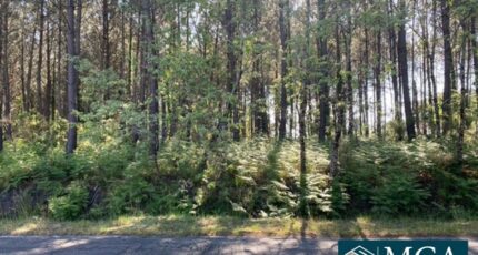 Sanguinet Maison neuve - 2428250-5828annonce120250605BUgf4.jpeg Maisons France Confort