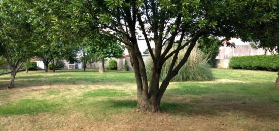 Terrain à bâtir à Cavignac, Nouvelle-Aquitaine