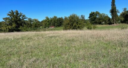 Bâgé-la-Ville Terrain à bâtir - 2393366-754annonce120260114kCZNL.jpeg Maisons France Confort