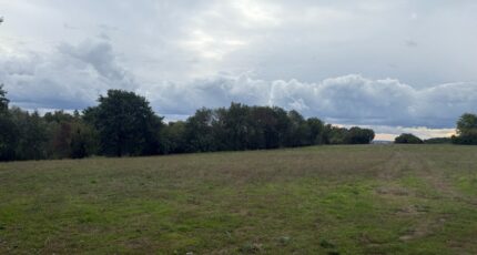 Montastruc-la-Conseillère Maison neuve - 2424945-11356annonce220260211C11Cs.jpeg Maisons France Confort