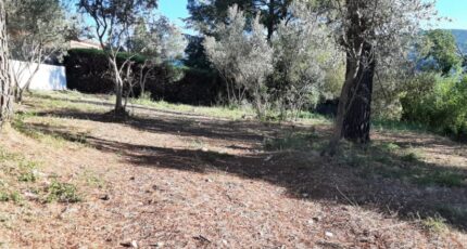 Draguignan Terrain à bâtir - 2429030-10295annonce220260213h02Sa.jpeg Maisons France Confort