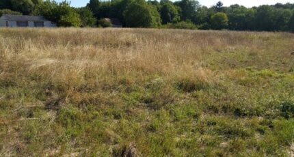 Château-Landon Terrain à bâtir - 2429168-11705annonce420260213gkwpP.jpeg Maisons France Confort