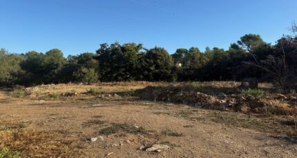 Rocbaron Terrain à bâtir - 2429381-11136annonce120260214TsMVG.jpeg Maisons France Confort