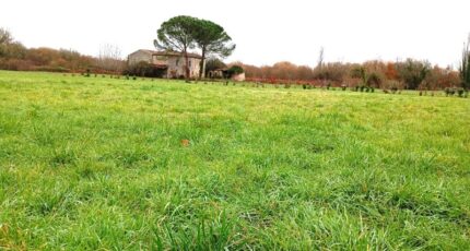 Sainte-Florence Maison neuve - 2364184-11596annonce120260214lPJNe.jpeg Maisons France Confort