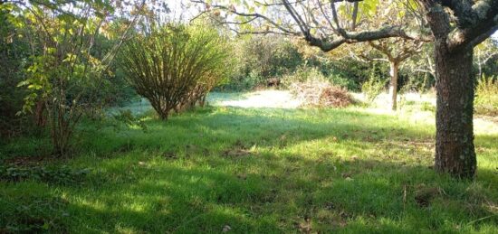 Terrain à bâtir à , Gironde