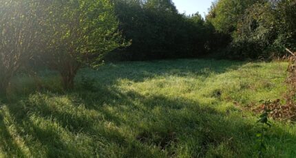 Artigues-près-Bordeaux Terrain à bâtir - 2391029-11596annonce2202602140uUiu.jpeg Maisons France Confort