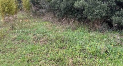 Marseille 12 Terrain à bâtir - 2429436-11115annonce220260214InTR7.jpeg Maisons France Confort