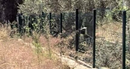 La Ciotat Terrain à bâtir - 2429520-11115annonce320260214x8Oe2.jpeg Maisons France Confort