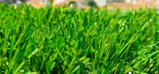 Terrain à bâtir à Créteil, Île-de-France