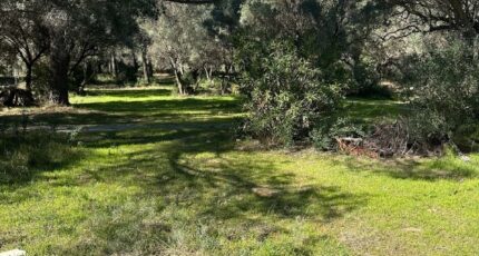 La Cadière-d'Azur Terrain à bâtir - 2429584-11115annonce220260214Qmr1M.jpeg Maisons France Confort