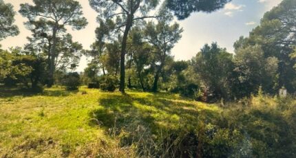 Sanary-sur-Mer Terrain à bâtir - 2429605-11115annonce520260215Emb9w.jpeg Maisons France Confort