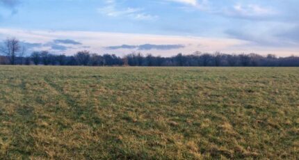 Bréhain-la-Ville Terrain à bâtir - 2429602-5138annonce120260215dIyZl.jpeg Maisons France Confort