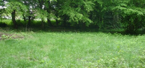 Terrain à bâtir à Fontenailles, Île-de-France