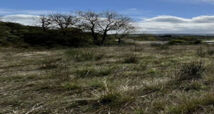 Saint-Martin-de-Villereglan Terrain à bâtir - 2429909-10986annonce120251027OQCWa.jpeg Maisons France Confort