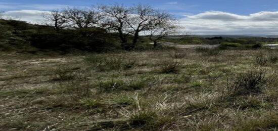 Terrain à bâtir à Saint-Martin-de-Villereglan, Occitanie