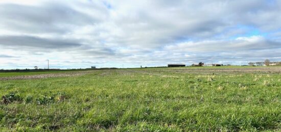 Terrain à bâtir à Angliers, Nouvelle-Aquitaine