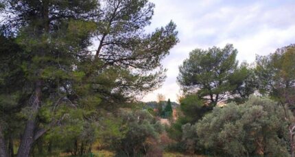 Puyricard Terrain à bâtir - 2430238-11680annonce520260216gUXk7.jpeg Maisons France Confort