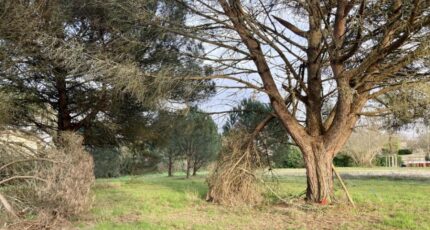 Sadirac Terrain à bâtir - 2430717-11266annonce220260216MzThO.jpeg Maisons France Confort