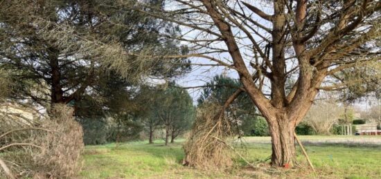 Terrain à bâtir à , Gironde