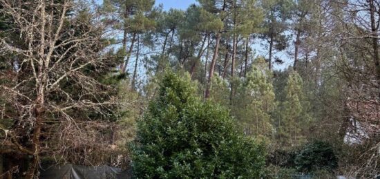 Terrain à bâtir à Martillac, Nouvelle-Aquitaine