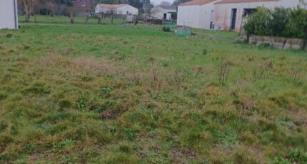 Beauvoir-sur-Mer Maison neuve - 2430806-11728annonce120260216BT9Lv.jpeg Maisons France Confort