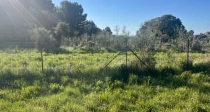 Le Puy-Sainte-Réparade Maison neuve - 2431245-11115annonce120260217ez2qJ.jpeg Maisons France Confort