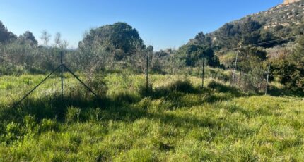 Le Puy-Sainte-Réparade Maison neuve - 2431245-11115annonce220260217zkTBf.jpeg Maisons France Confort