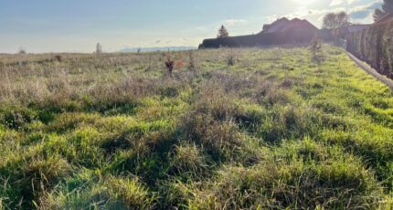 Bellegarde-sur-Valserine Maison neuve - 2431241-754annonce320260217nKzAG.jpeg Maisons France Confort