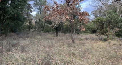 Grignan Terrain à bâtir - 2431243-812annonce320250131iTK1T.jpeg Maisons France Confort