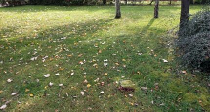 Combs-la-Ville Maison neuve - 2362832-11705annonce120251210Lp0Wk.jpeg Maisons France Confort