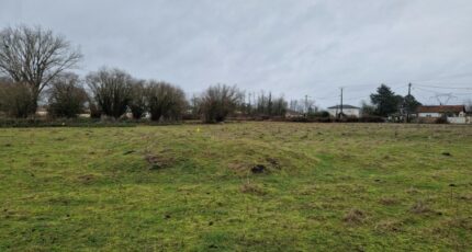 Ambarès-et-Lagrave Maison neuve - 2393966-11315annonce120260115TQbgP.jpeg Maisons France Confort