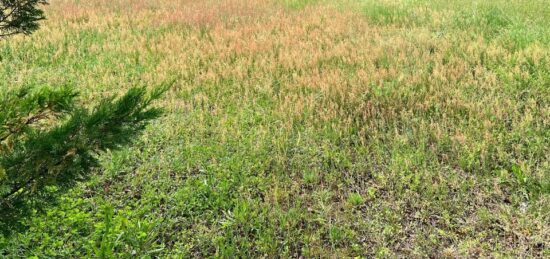 Terrain à bâtir à Gujan-Mestras, Nouvelle-Aquitaine