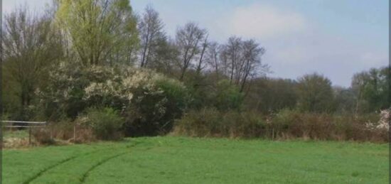 Terrain à bâtir à Dammartin-sur-Tigeaux, Île-de-France