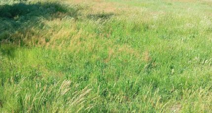 Mios Maison neuve - 2427661-1072annonce120260212SDm3F.jpeg Maisons France Confort