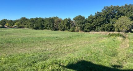 Septèmes-les-Vallons Terrain à bâtir - 2337640-11115annonce220251114EZJ7H.jpeg Maisons France Confort