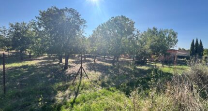 Tavernes Terrain à bâtir - 2394810-7057annonce22026011530kTy.jpeg Maisons France Confort