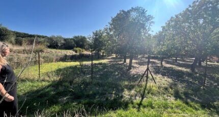 Tavernes Maison neuve - 2394851-7057annonce320260115F2goS.jpeg Maisons France Confort