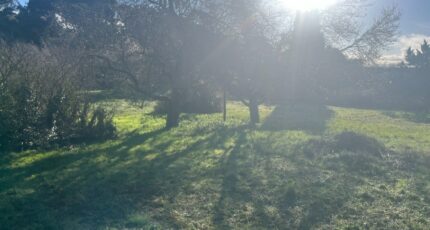 Allauch Maison neuve - 2433198-11115annonce12026021841Caz.jpeg Maisons France Confort