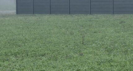 Monségur Terrain à bâtir - 2386102-1086annonce120260108C82VW.jpeg Maisons France Confort