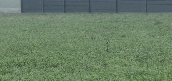 Terrain à bâtir à Monségur, Nouvelle-Aquitaine